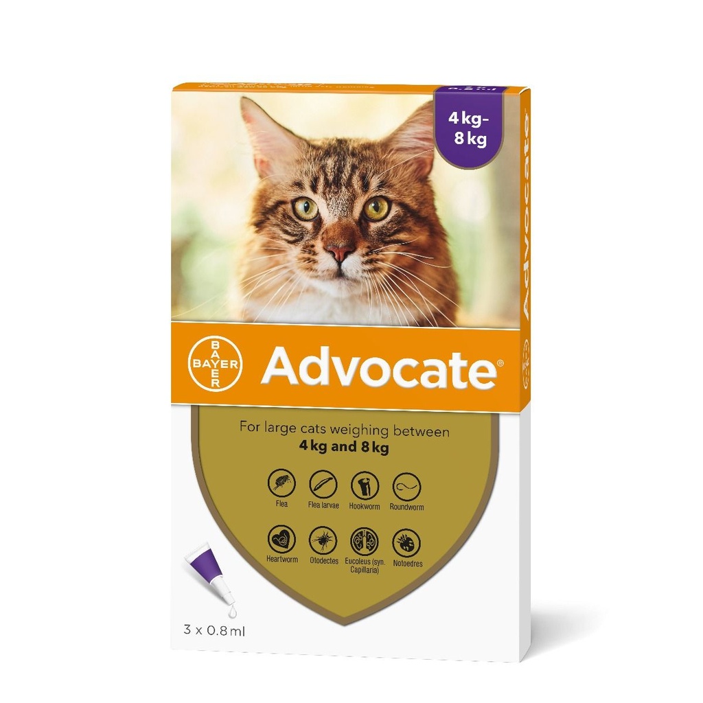 - Advocate Cat 4-8kg