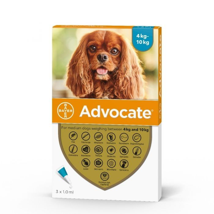 - Advocate Dog 4-10kg