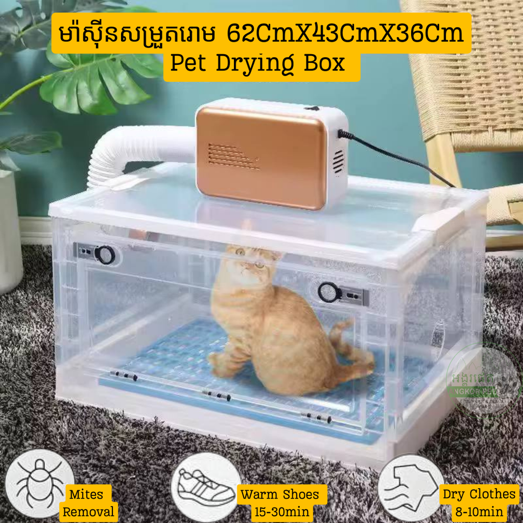 - Pet Drying Box 62X43X36Cm ម៉ាសុីនសម្ងួតរោម