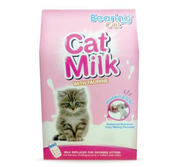 - Bearing Cat Milk Powder 300g