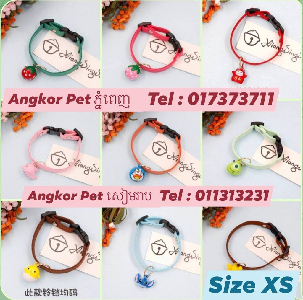 - Cat Collar Small​ XS ប្រឡៅកចម្រុះពណ៌