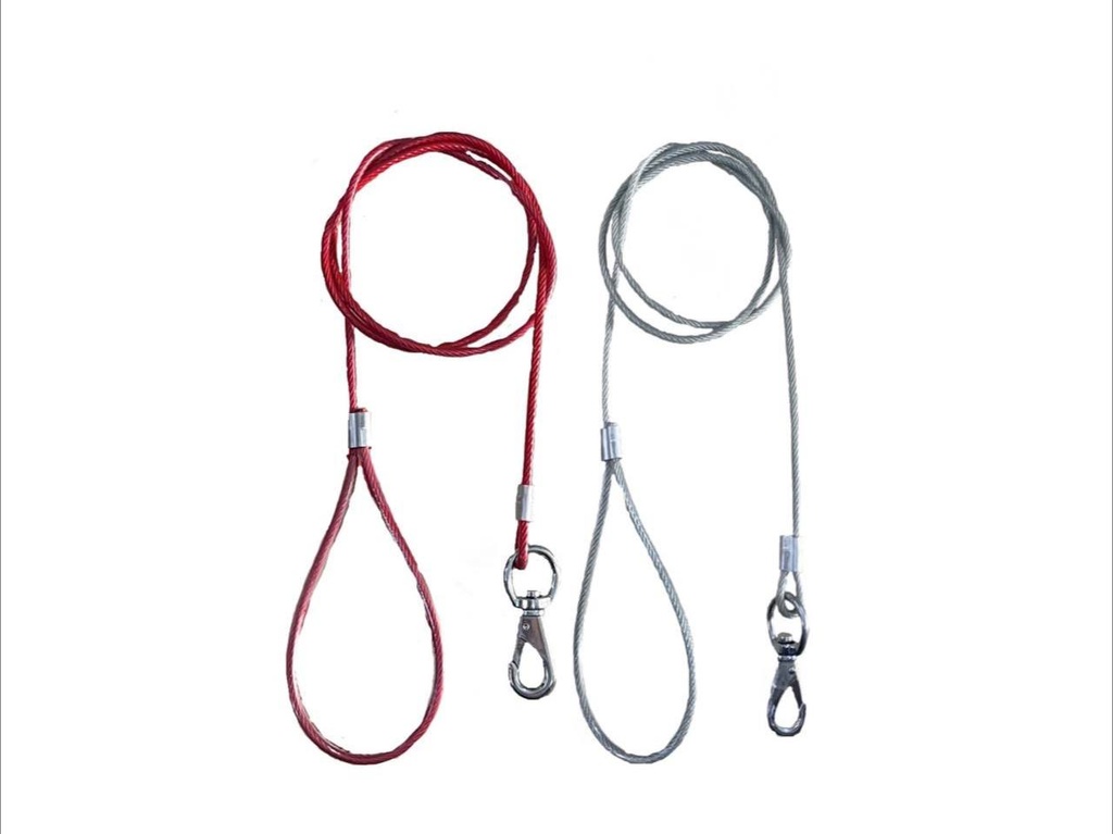 - Dog Leash ខ្សែបណ្តើរដែកលួស