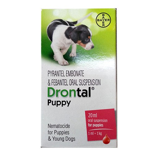 - Drontal Dog Puppy Oral 20ml