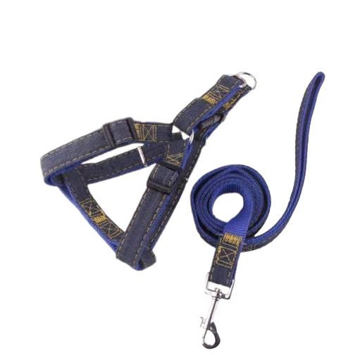 - Dog Leash Set Size XL-2.2Cmx120cm វ៉ាត់ខ្លួនខោប៊យឈុត