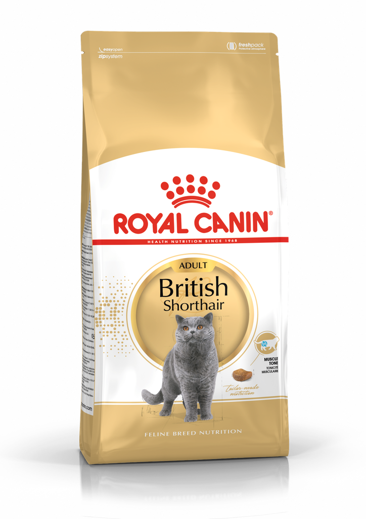 - Royal Dry Cat Food British Short Hair Adult Cat 10kg