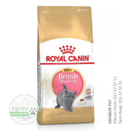 - Royal Dry Cat Food British Short Hair Kitten Cat 2kg