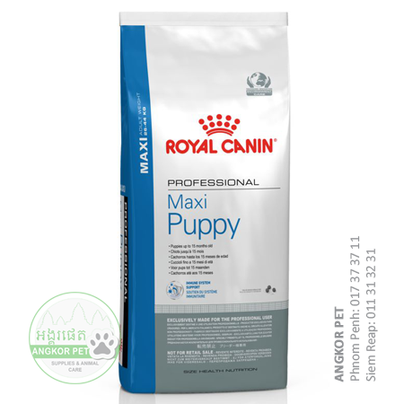 - Royal Dry Dog Food Maxi Puppy 16kg