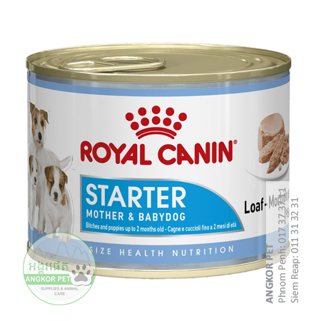 - Royal Can Dog Food Starter Baby 195g ម្តាយនិងកូនឆ្កែ