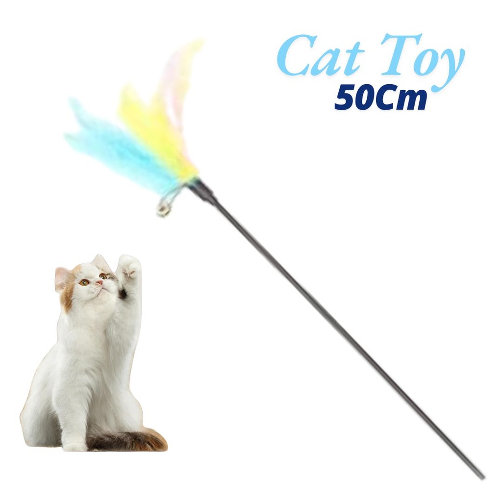 - Cat Toy Stick Chicken Feathers ចង្កឹះជ័រឆ្មារោមមាន់