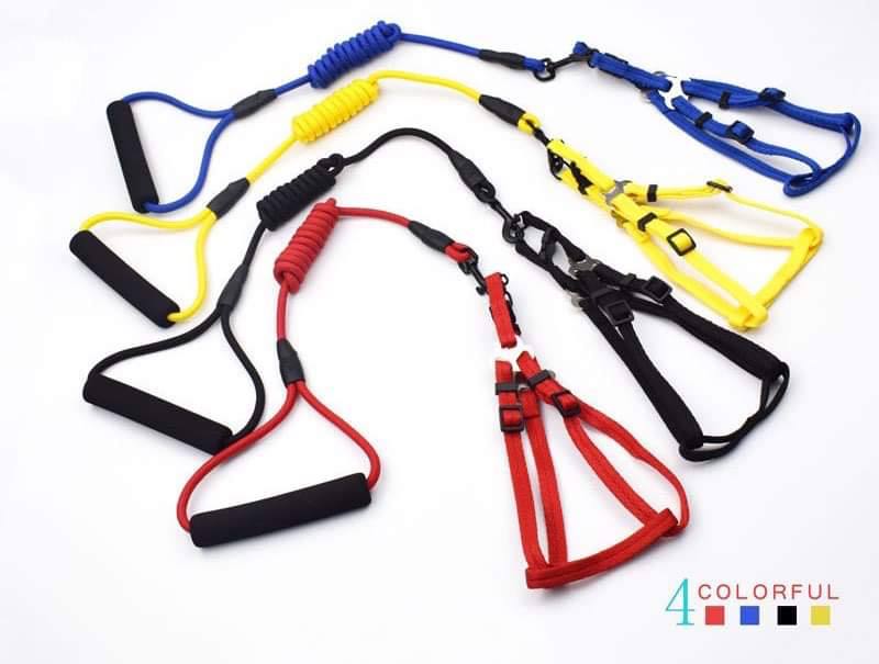 - Dog Leash Set M វ៉ាត់ខ្លួនឈុត (3-7kg)