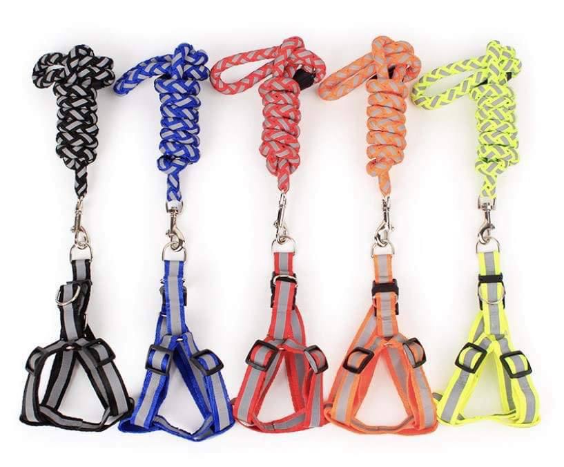 - Dog Leash Set Light 2.5X120cm ឈុតខ្សែរបណ្ដើរភ្លឺ