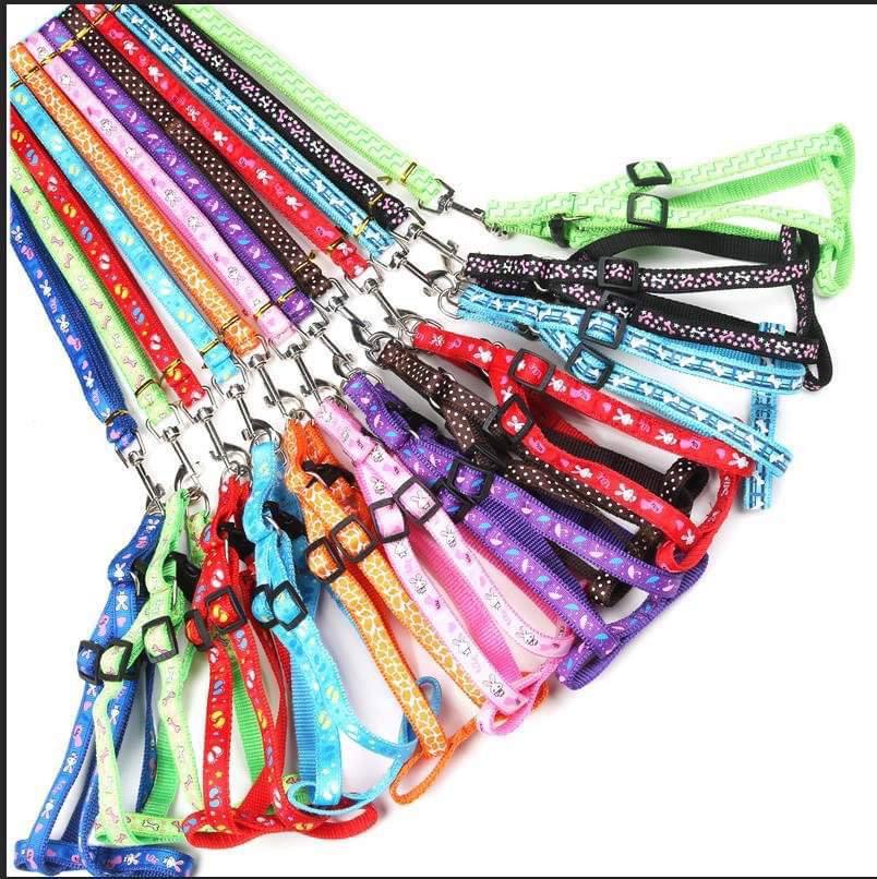 - Dog Leash Set Mix Color 1cmX120cm ខ្សែបណ្ដើរចម្រុះពណ៌