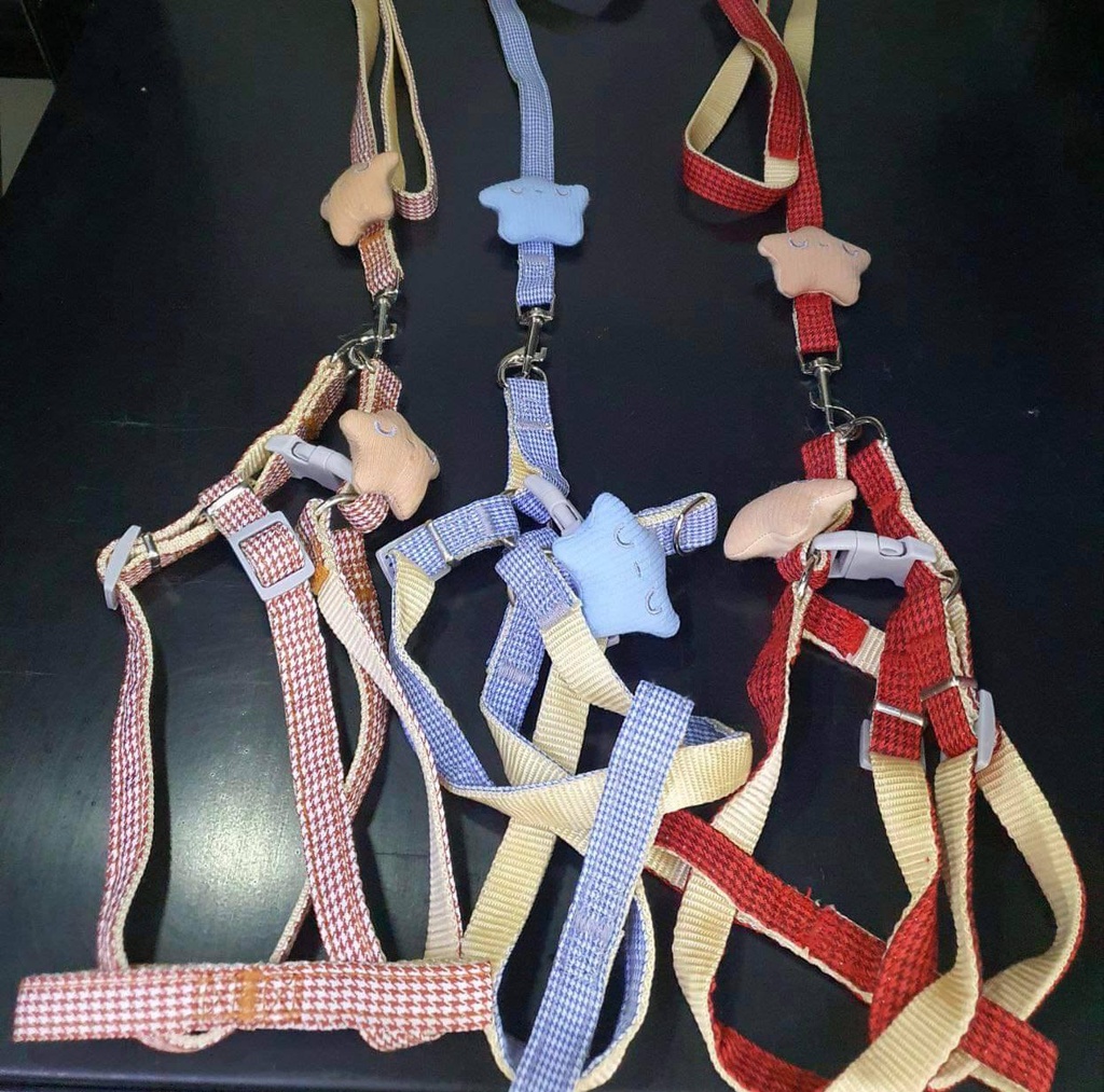 - Dog Leash Set 1.5cmX120cm វ៉ាត់ខ្លួនឈុតការ៉ូ