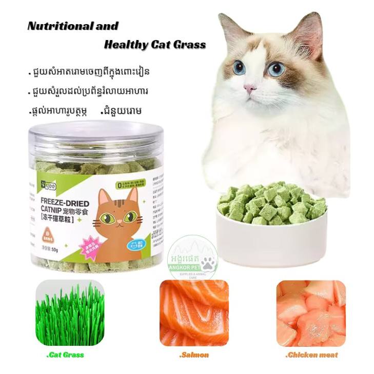 - Cat Grass 50g (Salmon Chicken)