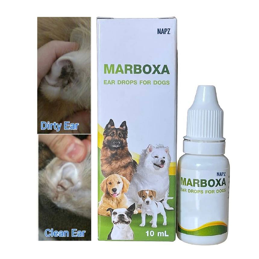 - Marboxa Ear Drops 10ml