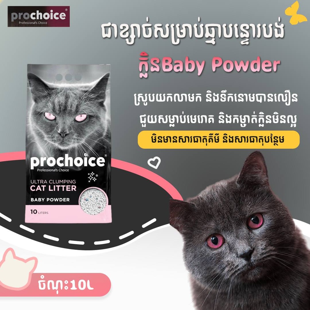 - Prochoice Cat Litter 10L