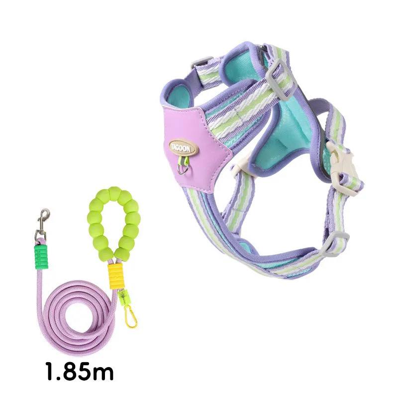 - Dog Leash with Harness Purple