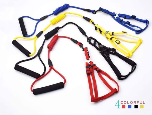 [B0000000309] - Dog Leash Set M វ៉ាត់ខ្លួនឈុត (3-7kg)