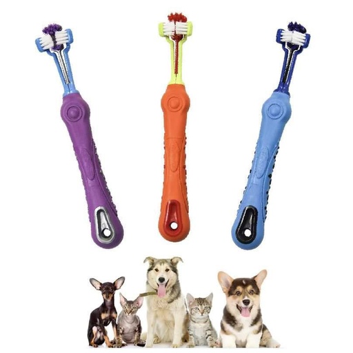 - Pet Toothbrush ច្រាស់ដុះធ្មេញ