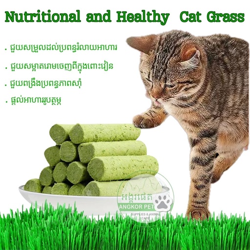 [B0000001141] - Cat Grass Sticks 160g ​​​/​ ស្មៅឆ្មា